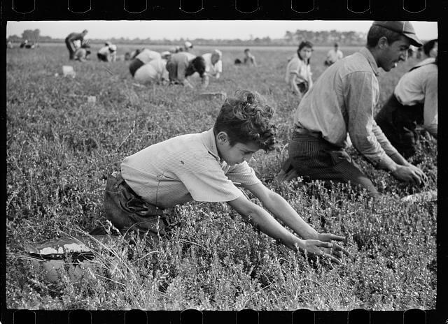 The Past, Present & Future of Child Labor Laws